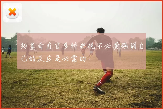 约基奇直言多特犯规不必要强调自己的反应是必需的