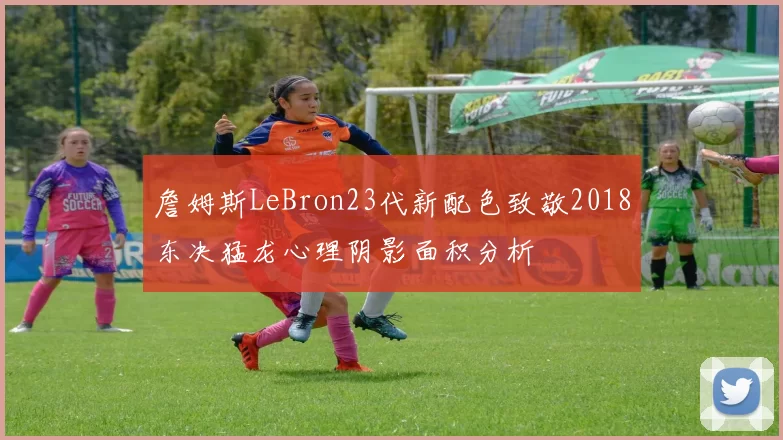 詹姆斯LeBron23代新配色致敬2018东决猛龙心理阴影面积分析